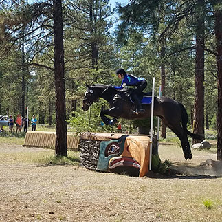 Equestrian Rehab Photo