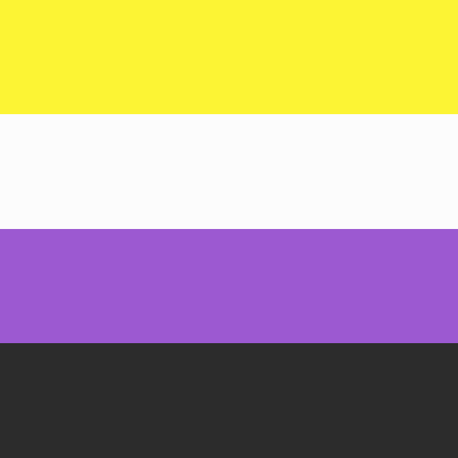 Non-Binary Flag Image