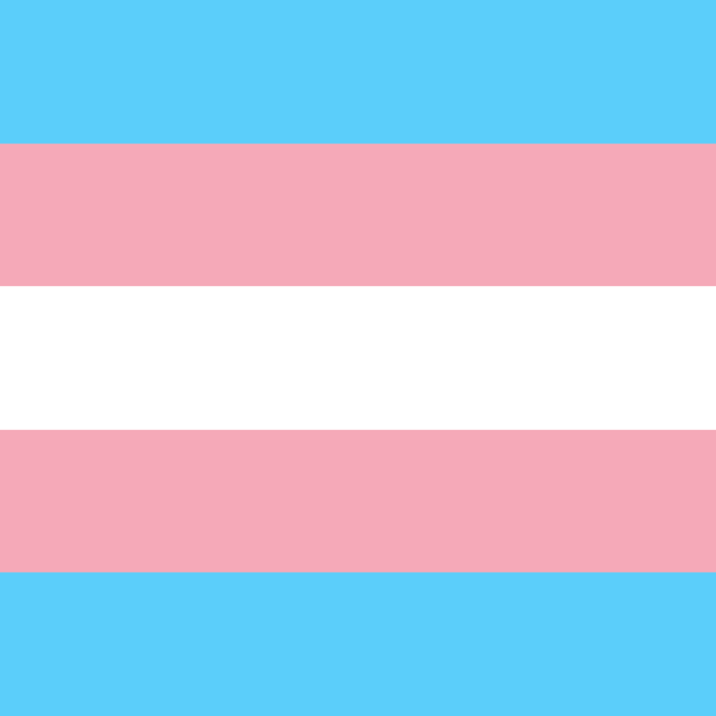 Transgender Flag Image